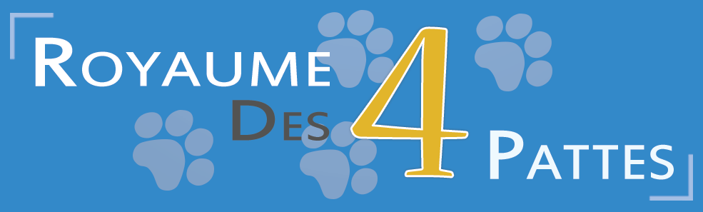 Logo Royaume Des 4 Pattes